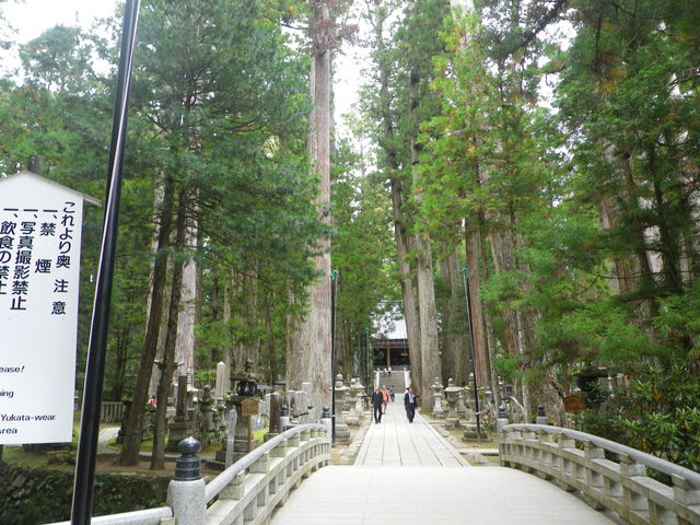 �B�e�֎~�̎D_���V�@