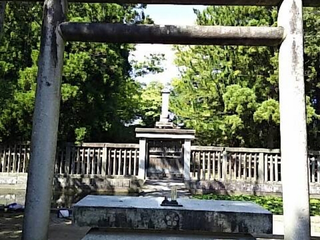 �揊_�O�c�����揊