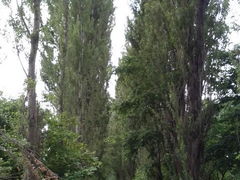 񂾂ꂳ̖k|v؂ւ̓eʐ^1