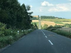 S[hs~bh̃WFbgR[X^[̘Hւ̓eʐ^1