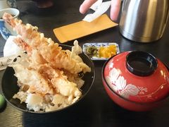 ݂傳̂H@Ƃ{Xւ̓eʐ^1