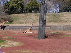 񂿂񂳂̐tsւ̓eʐ^1