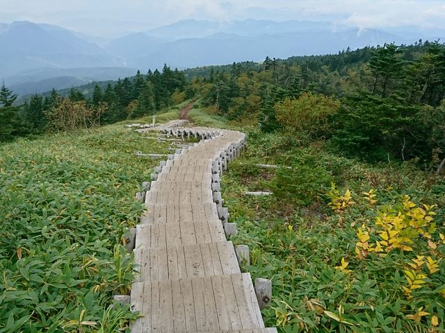 ����t�߂̖ؓ�_�l���R