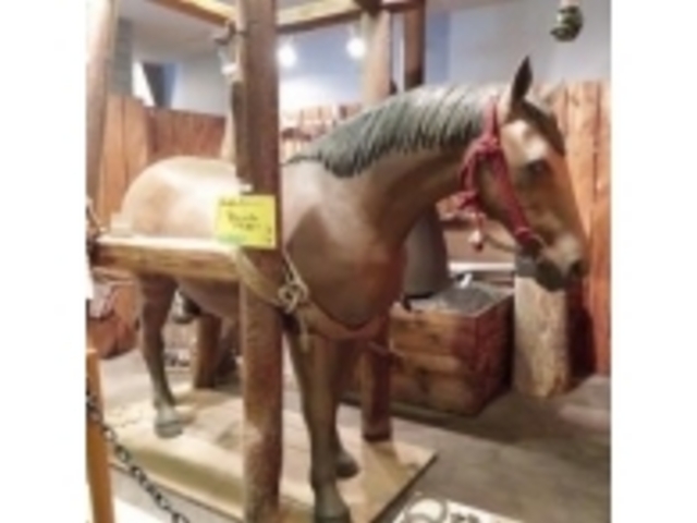 ������_�n�̎�����