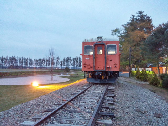 �₵����_�K���w�i�K���S�������j