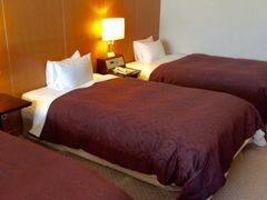 Ȃ΂񂳂̃zep[X쉮ւ̓eʐ^1