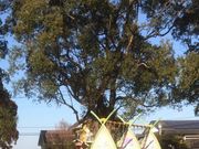 C3̋{茧_ƉȊwsiXp[N̓eʐ^1