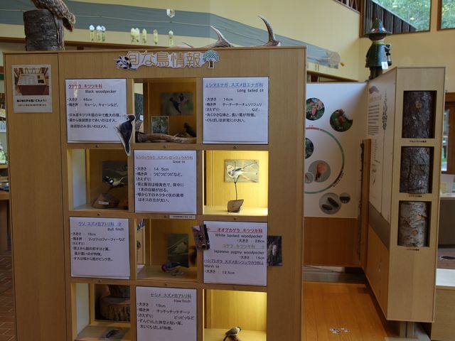 ���R���W��_�쓒�r�W�^�[�Z���^�[