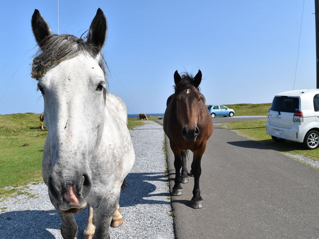 �����n_�K����