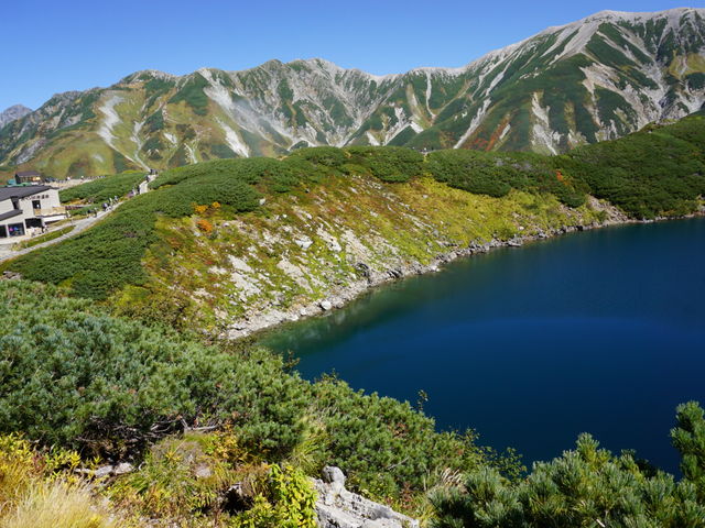 �݂��肪�r�̋߂��Ɍ����Ă��܂��B_�݂��肪�r����