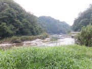 ڂ炳̖ؒÐ㗬̓eʐ^1