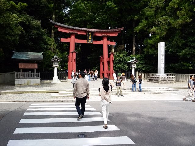 ��F�_��1_�\�F�_��