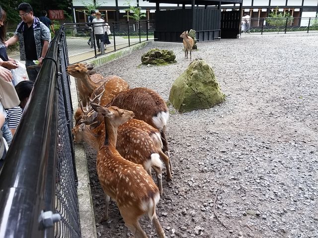 ��F�_��3_�\�F�_��