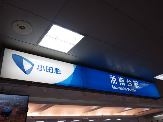 ̐lpĂÓwłB_c}dSÓw