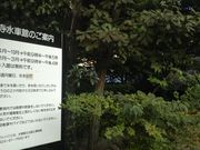 ���c�J�擙�X�͂̏Z�l����̐[�厛���Ԋق̓��e�ʐ^1