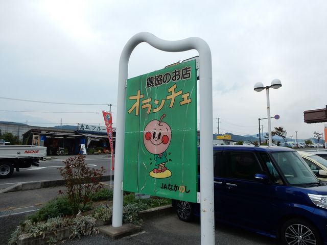 ���̊Ŕ��ڈ�_�_�Y���Y�كI�����`�F