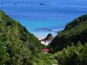 ނ炳񂳂̋\lC̓eʐ^1