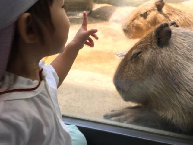 ̃JsołB߂ČJsoɋÁX2Ύł_EW ANAgg