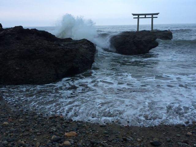 �������A�N�����܂���ł����B_�_�钹��