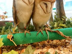 ݂񂳂̃tNÊւ̓eʐ^2