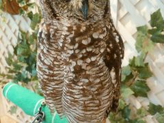 ݂񂳂̃tNÊւ̓eʐ^3