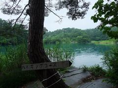 ekkǒܐFRTHւ̓eʐ^1