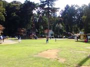 DoubleO7̑Ԃ̋u肢ǂ̓eʐ^1