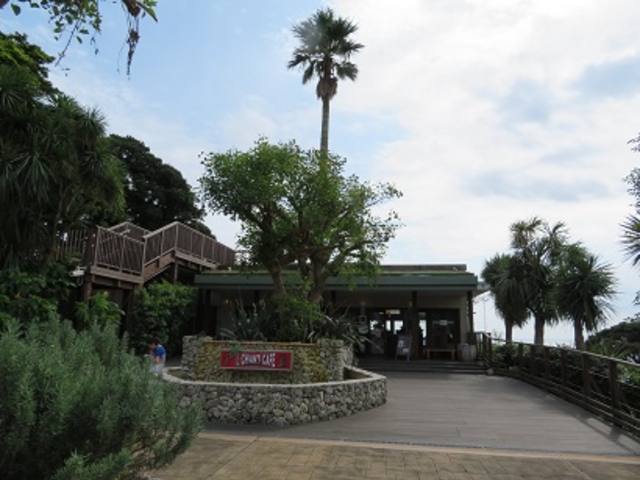 LiL CHIANTI CAFE (C@LeB@JtF)̓eʐ^1