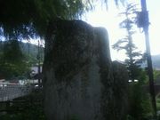 ��������̓��얲�����̓��e�ʐ^1