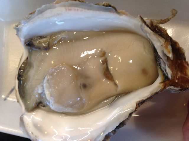 ���̏�Ŕ����Ă���鐶���y���ō��ł�_�ɂ��킢�s�� �s�ABandai