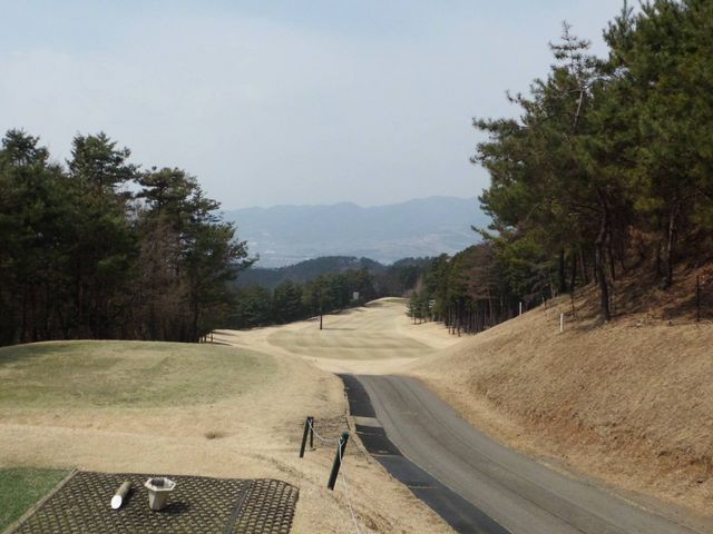 �K�x�ȃA�b�v�_�E��_�����S���t�R�[�X