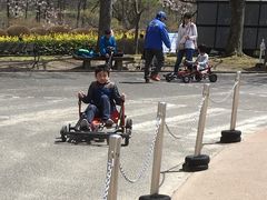 䂩̍ĉ݂m̌ΔȌւ̓eʐ^1