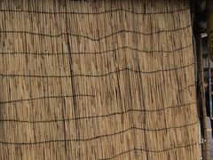 ₳̃AWAFO itH[jւ̓eʐ^1