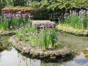 micky7777̗N뉀ulv̓eʐ^3