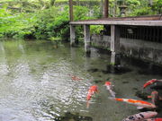 micky7777̗N뉀ulv̓eʐ^5