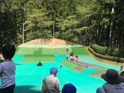 䂩̑TRXьtB[hAX`bN̓eʐ^1