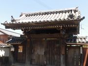 ڂ肳̋IBEV@U̓eʐ^2