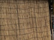 ₳̃AWAFO itH[j̓eʐ^1