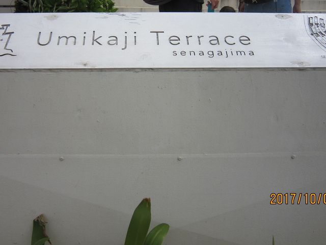 E~JWeX_Ƃԏn E~JWeXX