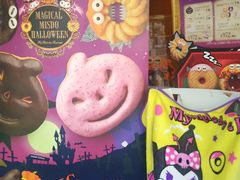 Ƃ񂳂̃~X^[h[ic@_ˊwssVbvւ̓eʐ^1