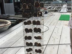 ݂̐^H[@^̗ւ̓eʐ^1