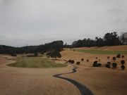 ܂Ȃ̃j[ ZgAh[XStNu Wp̓eʐ^2