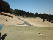 ܂Ȃ̏㑍xmStNu̓eʐ^2