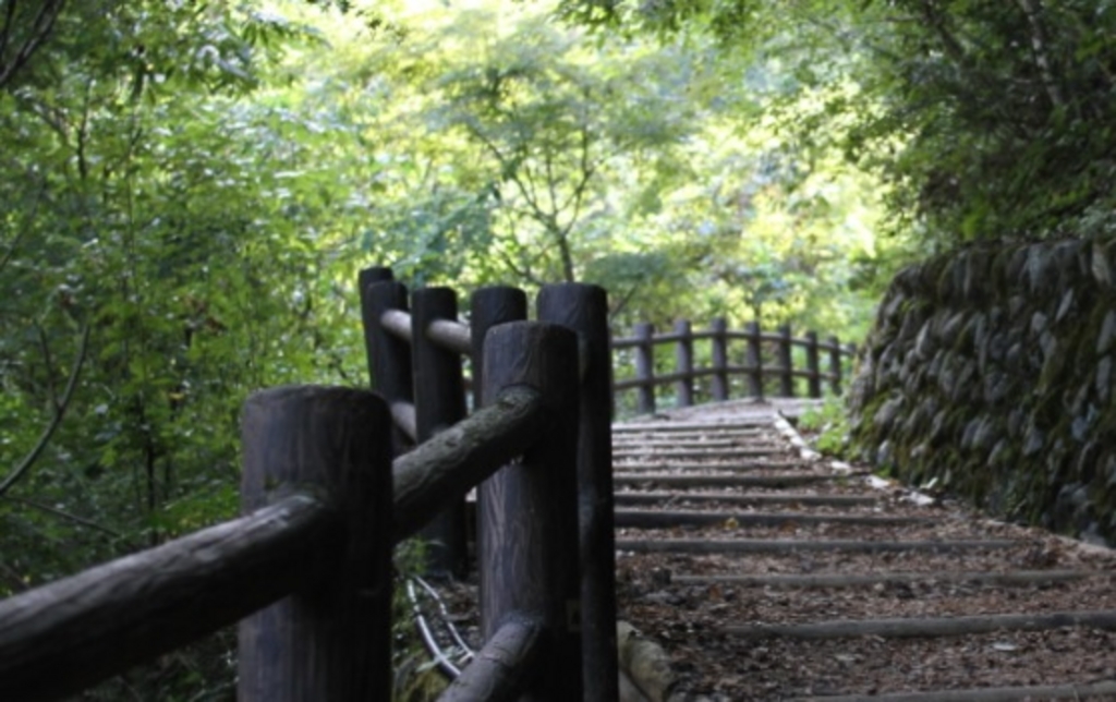 鳩ノ巣渓谷遊歩道