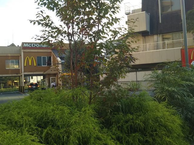 }Nhihj[^EʂX_}Nhihj[^EʂX