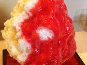 ����������̂����X���X�@�Ђ݂��̓��e�ʐ^1