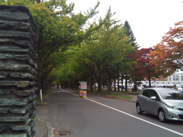 �k�C����w�̃C�`���E����_�k��C�`���E����