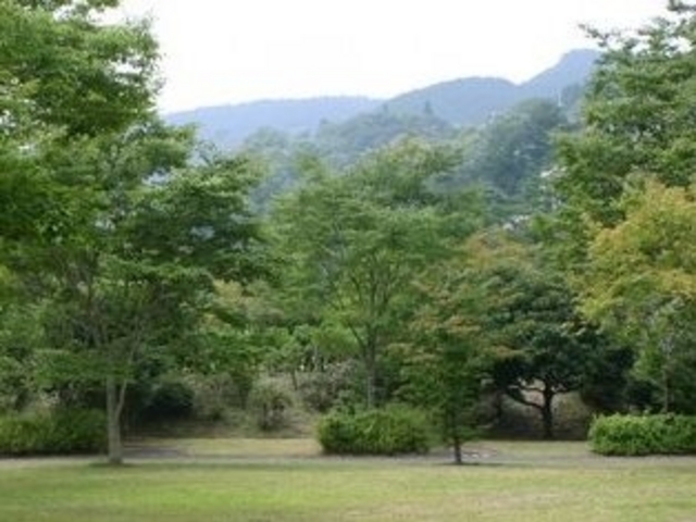 �␶�Ƒ����s��_�␶�Ƒ����s��