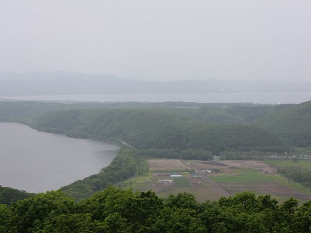 �J�̖ԑ���_�V�s�R�W�]��