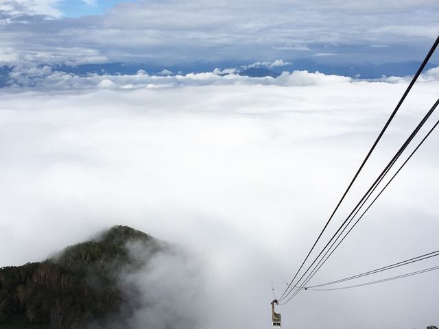 �_�C�ƃR���{_�����}�E���e�����]�[�g